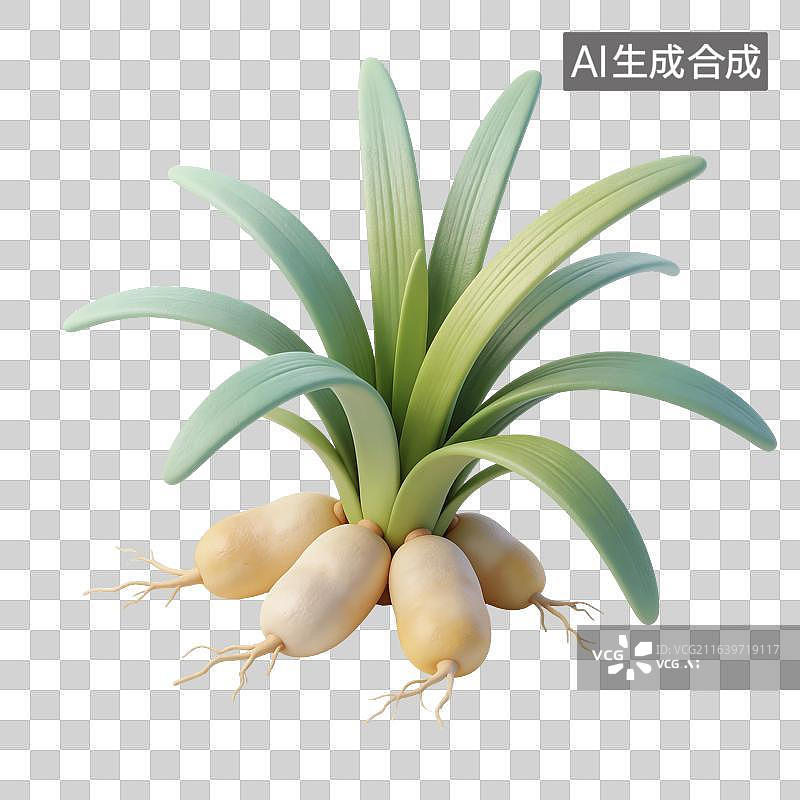 【AI数字艺术】麦冬植物插画图片素材