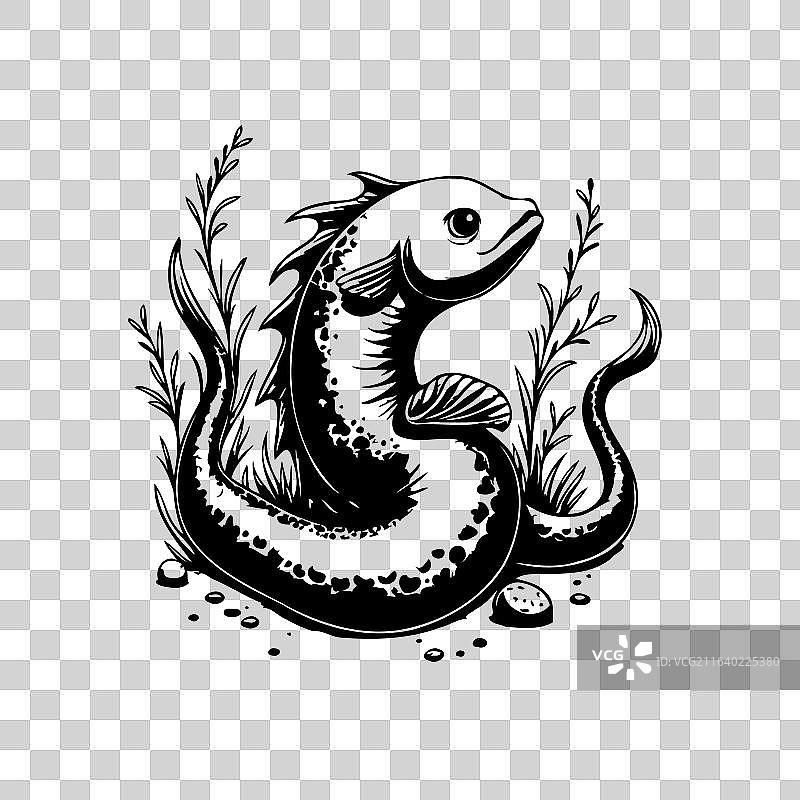 海藻环绕的异想海鳗，非常适合图片素材