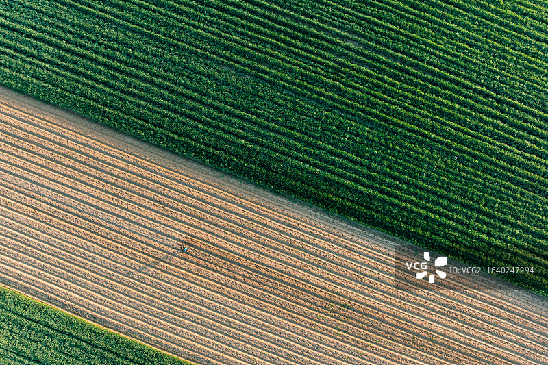 大地春色图片素材