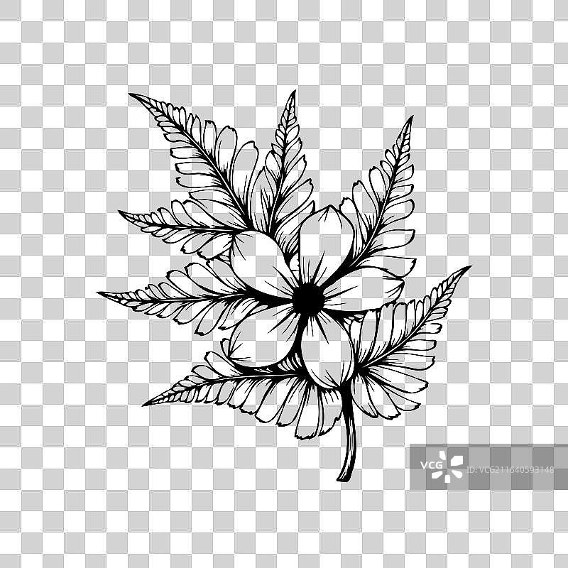 植物展示着娇嫩的花朵和蕨类植物图片素材
