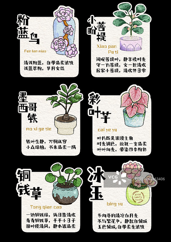 绿植介绍卡片 插画卡片 治愈系图片素材