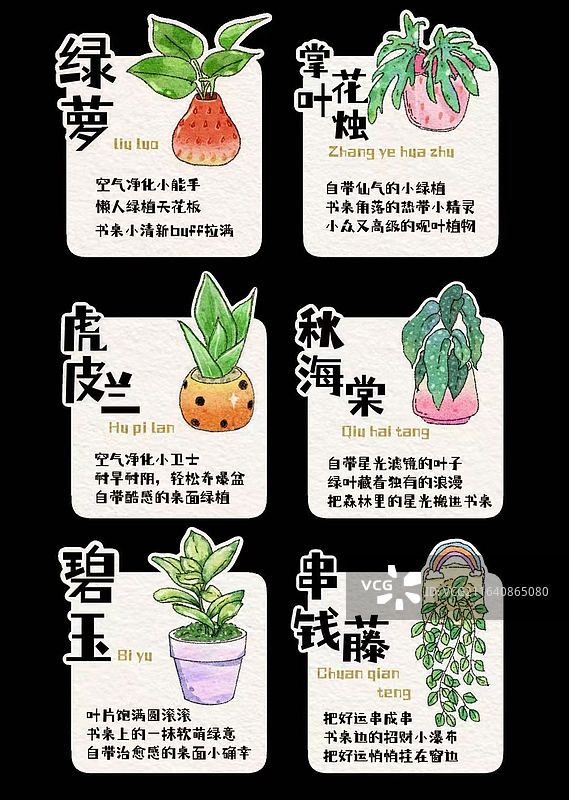 绿植介绍卡片 绿植插画卡片图片素材