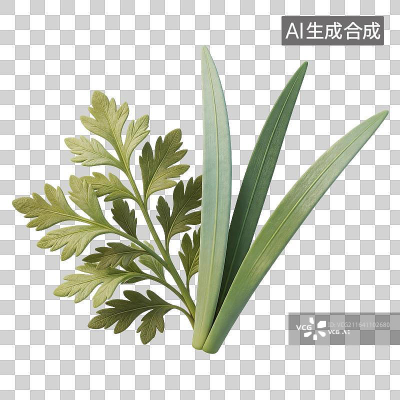【AI数字艺术】艾草菖蒲植物插画图片素材