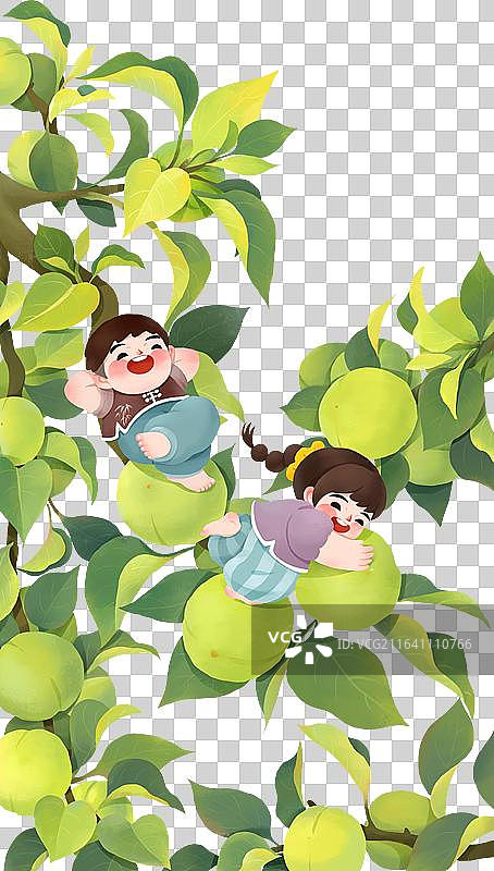 夏天芒种节气插画元素结满青梅的枝头上玩耍嬉戏的男孩女孩竖版图片素材