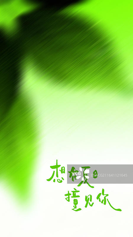 想在夏日撞见你 夏天主题手写艺术字祝福励志鸡汤优美句子摘抄竖版手机壁纸图片素材