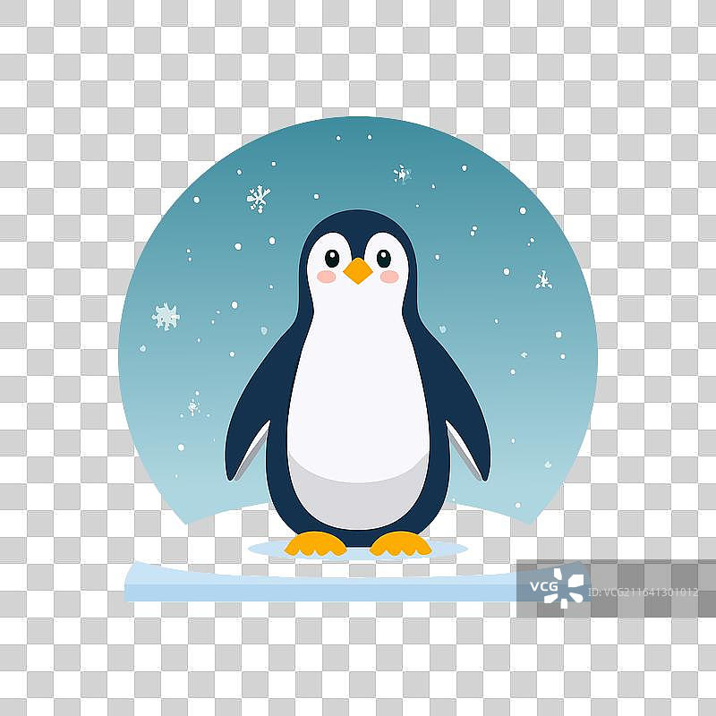 一只可爱的企鹅站在雪白的浮冰上图片素材