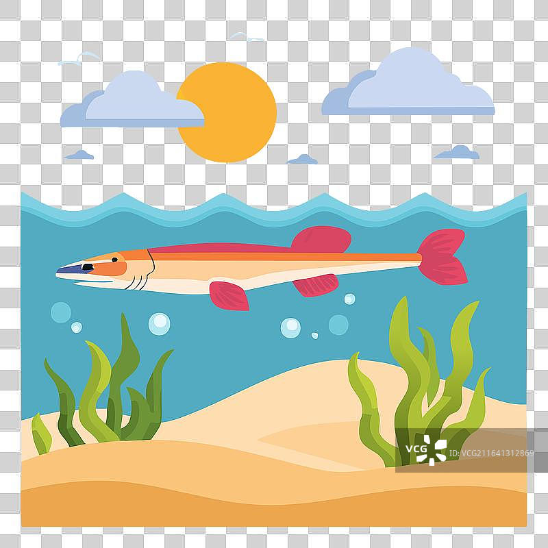 描绘鱼的色彩缤纷的海底景象图片素材
