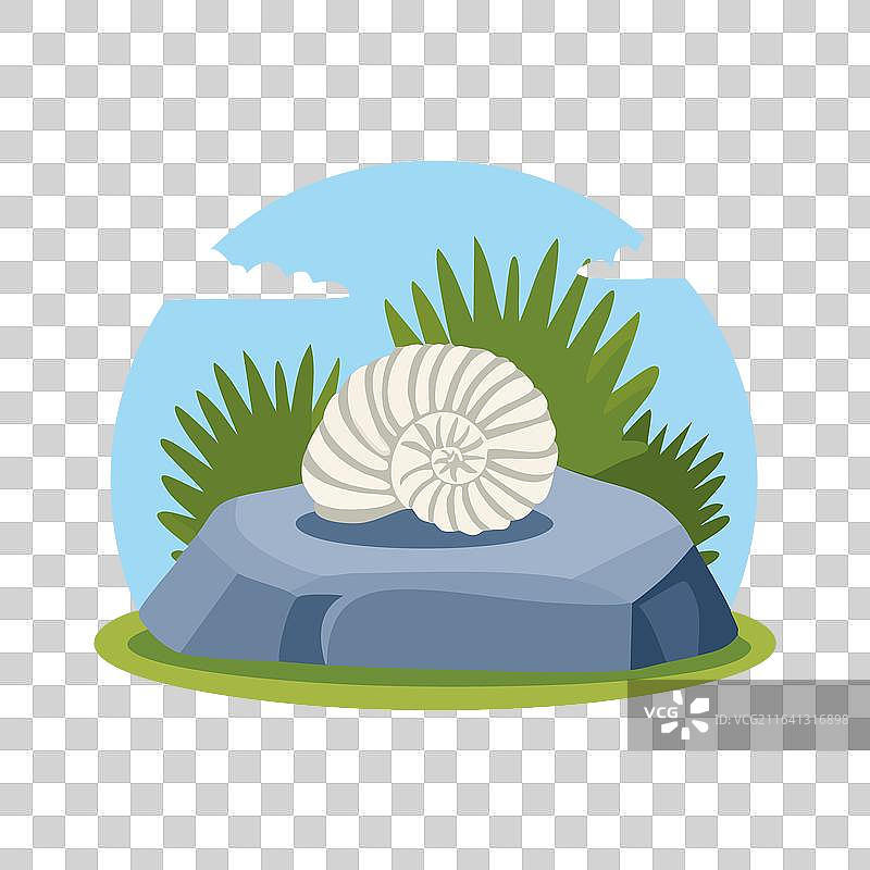 石头上史前菊石化石的卡通画图片素材