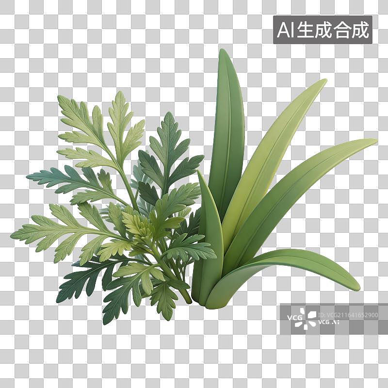 【AI数字艺术】艾草菖蒲植物插画图片素材