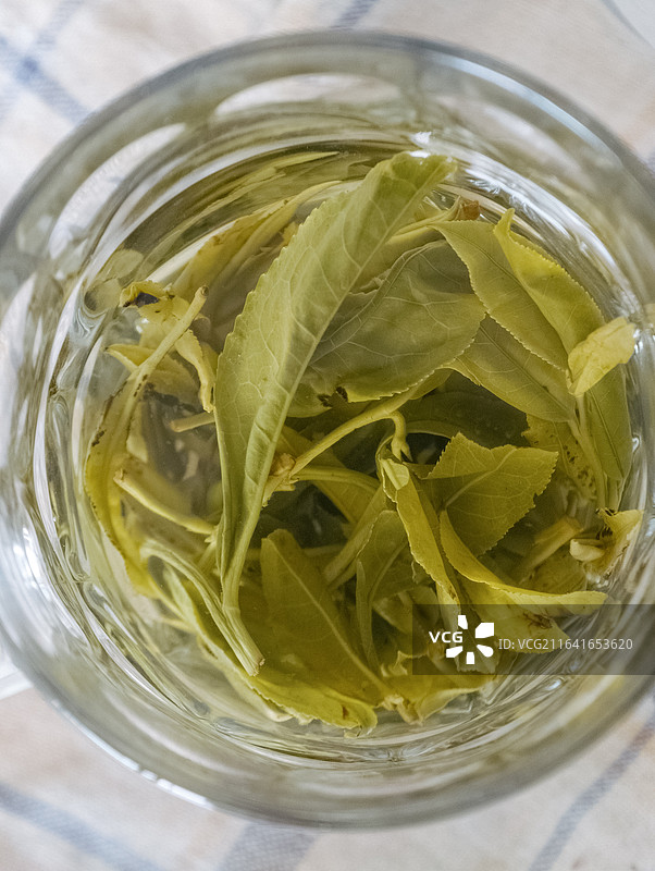 一杯古树茶图片素材