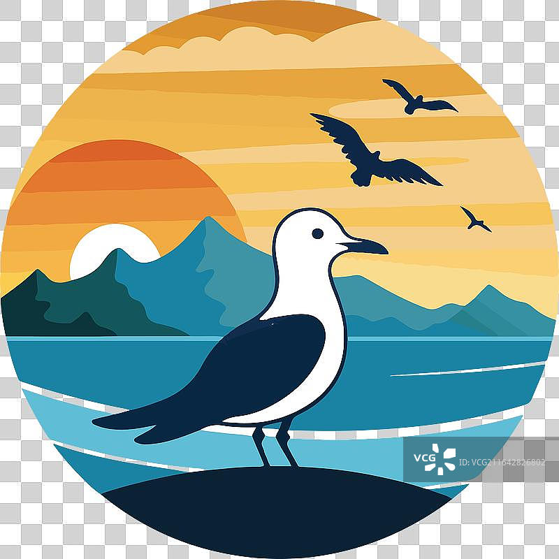 海鸥剪影映衬着大海图片素材