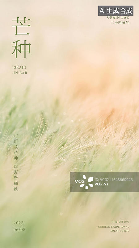 【AI数字艺术】芒种节气背景的麦穗海报图片素材
