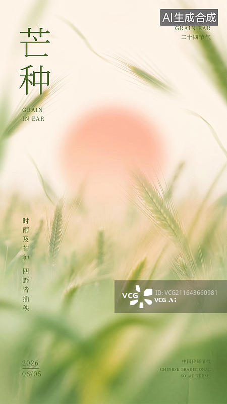 【AI数字艺术】芒种节气背景的麦穗海报图片素材
