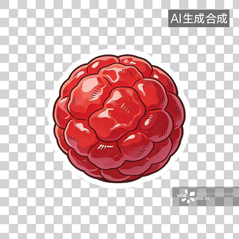 【AI数字艺术】手绘中医养生红树莓插画贴纸元素图片素材