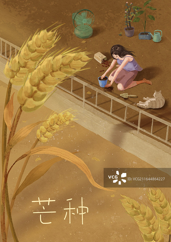 种下希望的种子图片素材