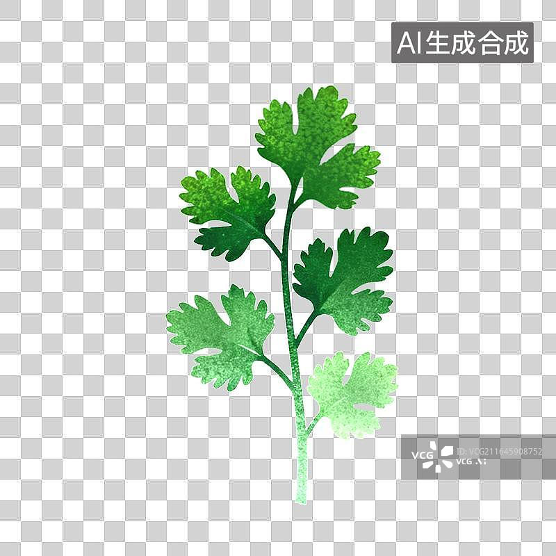 【AI数字艺术】香菜图片素材