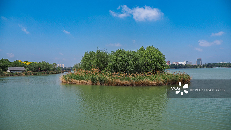 山东滨州蒲湖风景区湖景与城市天际线风光图片素材