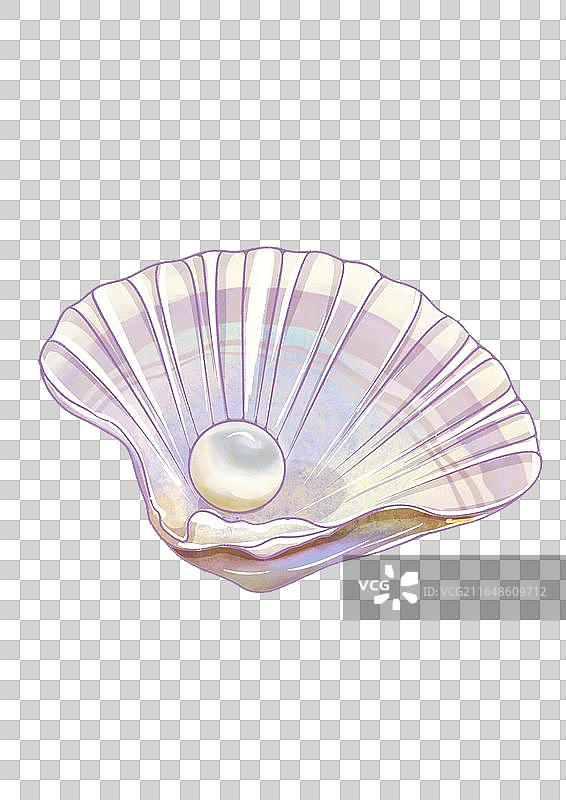 海边沙滩素材元素珍珠贝壳图片素材