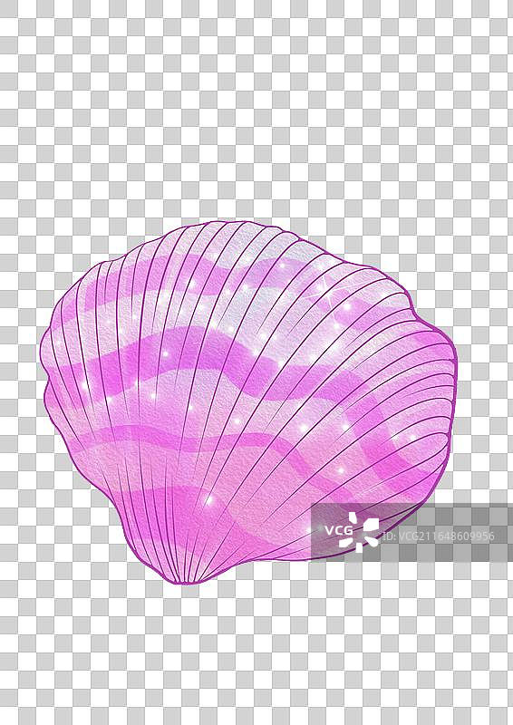海边沙滩贝壳图片素材