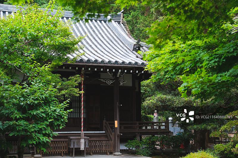 夏天的日本京都东山区新善光寺图片素材