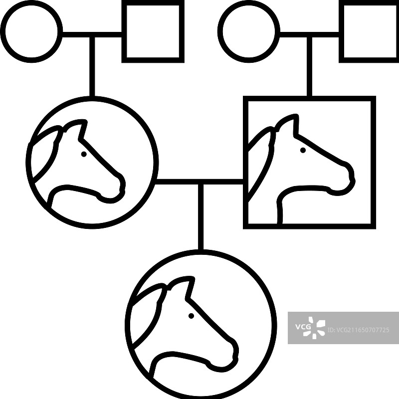 血统图马匹育种谱系图标图片素材