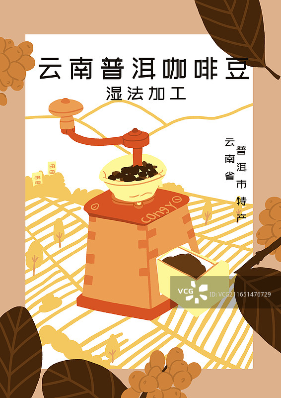 扁平风简洁风的云南普洱咖啡海报插画设计模板系列1图片素材
