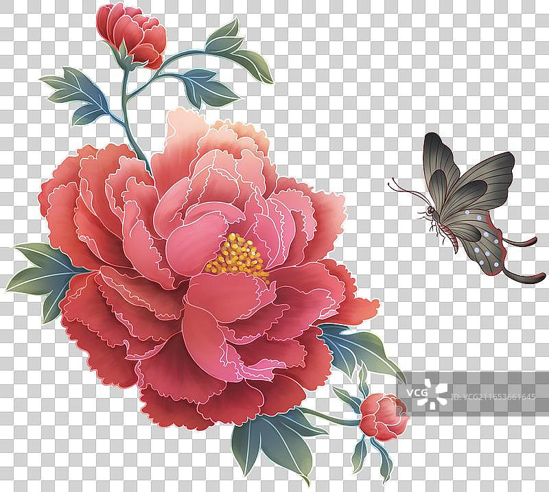 牡丹花国花透明插画素材图片素材