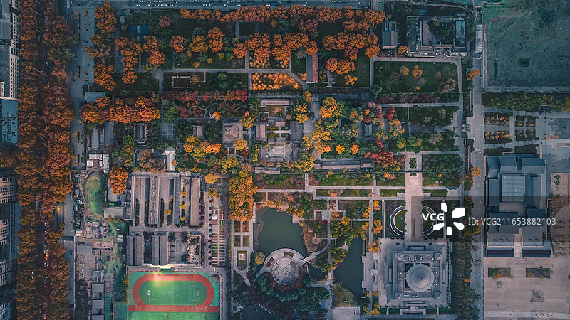 小雁塔秋景图片素材