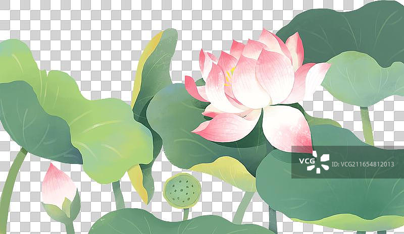 中国传统节日七夕节荷塘荷花荷叶插画元素图片素材