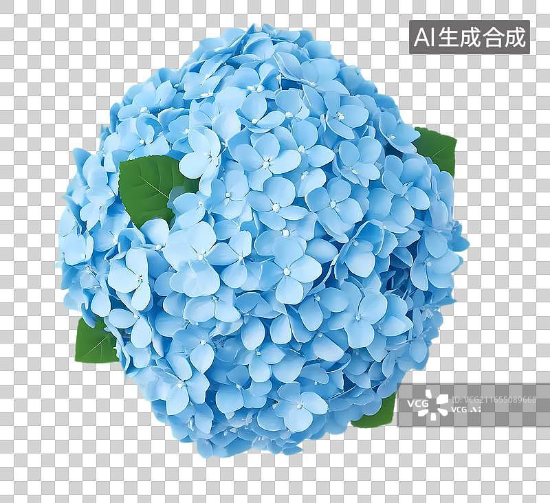 【AI数字艺术】蓝色绣球花球图片素材
