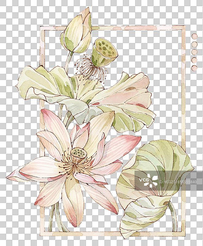 手绘水彩带边框荷花中国风插画图片素材