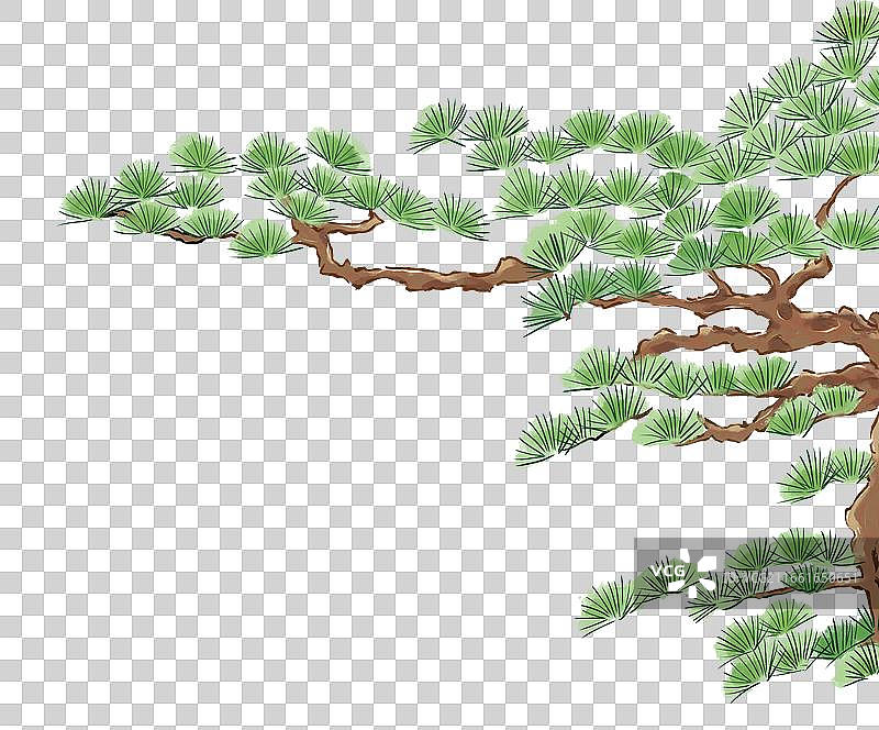 国潮风松树元素图片素材