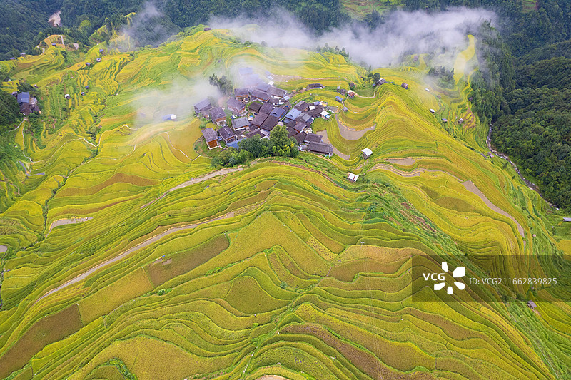 贵州从江：加榜梯田“丰”景如画图片素材