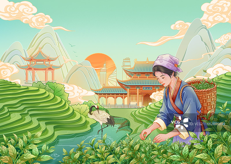 古风包装插画采茶图片素材