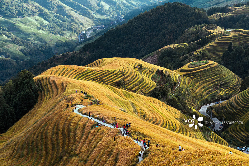 龙脊——秋之旅图片素材