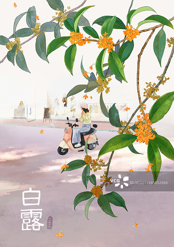 加字版一年二十四节气系列插画秋季篇 白露图片素材