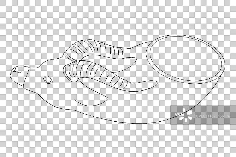 手绘插画描边线条风线稿陕西省历史博物馆镶金兽首玛瑙杯线稿图片素材