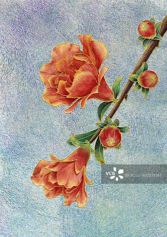 岩彩植物掐丝珐琅十二花令石榴花花卉手绘肌理插画图片素材