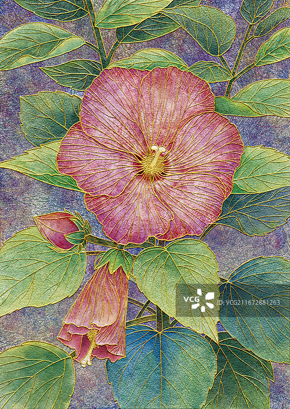 岩彩植物芙蓉花掐丝珐琅十二花令花卉手绘肌理插画图片素材