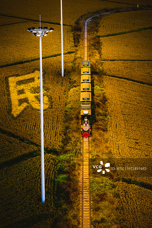 稻田与小火车图片素材