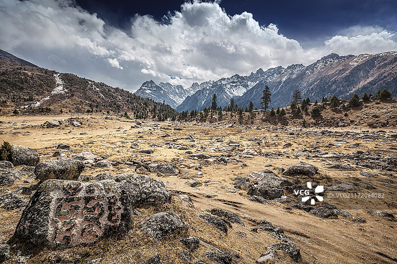 新路海自然保护区图片素材