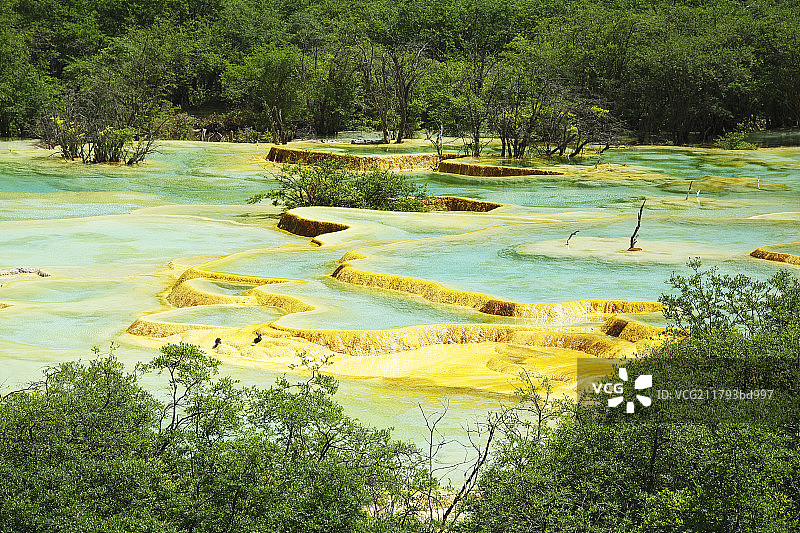 四川省黄龙五彩池图片素材