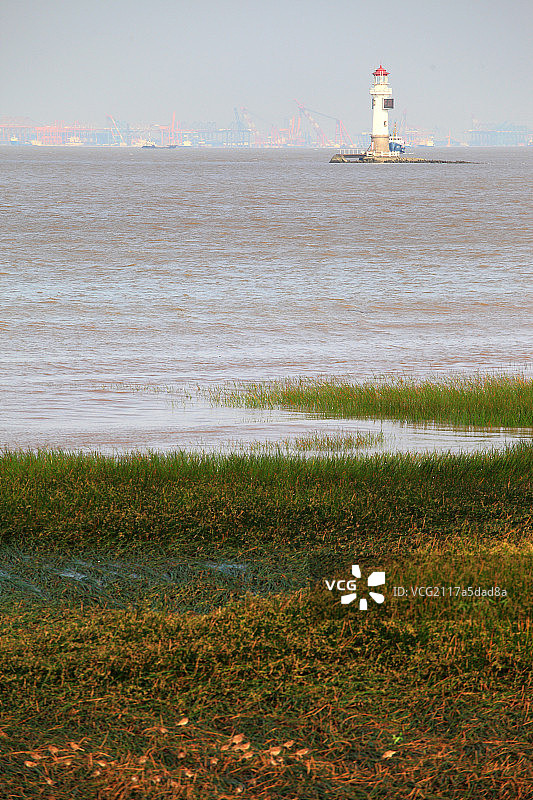 上海长江口湿地生态保护区图片素材