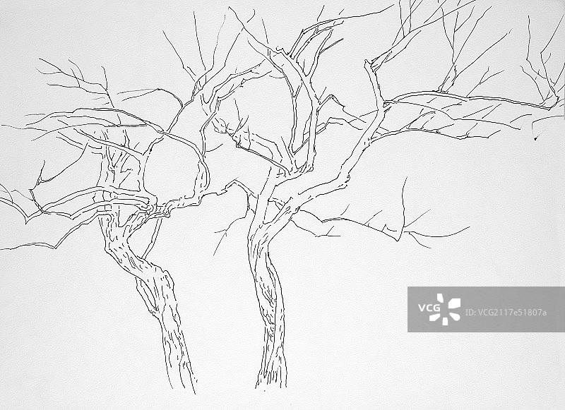 绘画手稿图片素材