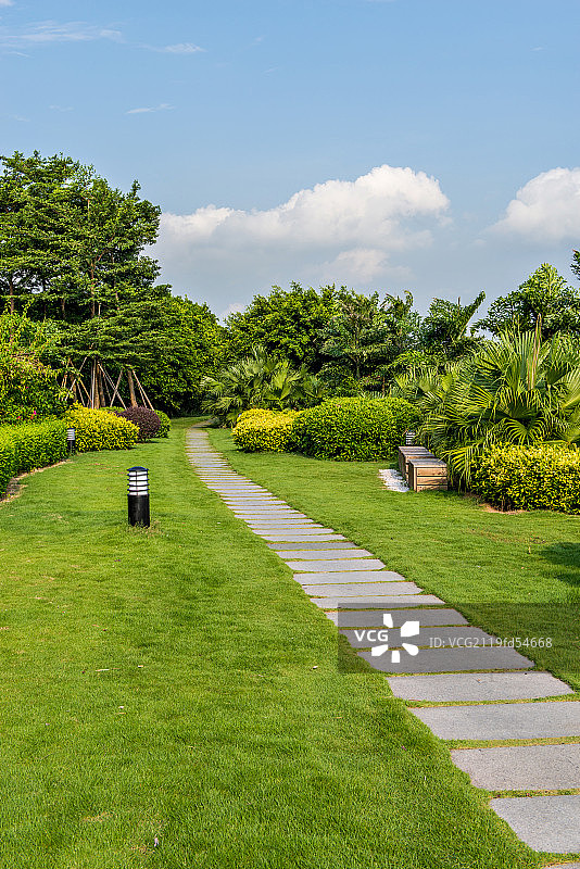 公园里的草地与步行道图片素材