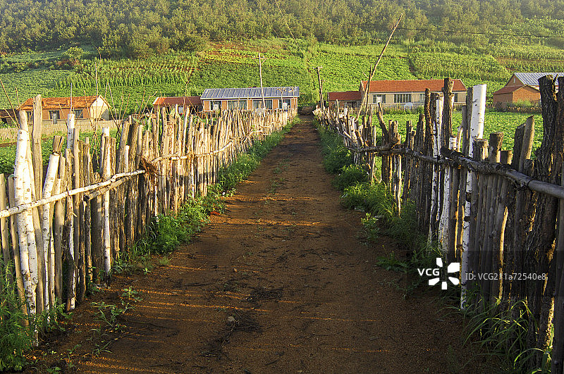 大兴安岭加格达奇,乡间小路图片素材