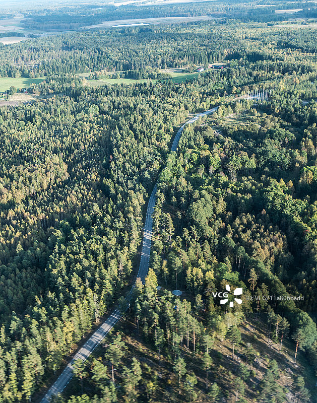 航拍森林图片素材