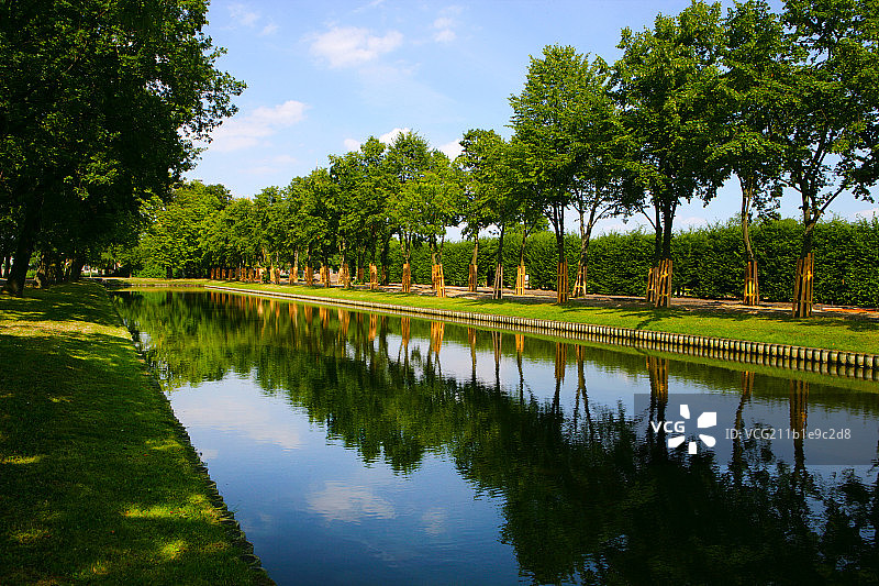 小河旁整齐的绿树图片素材
