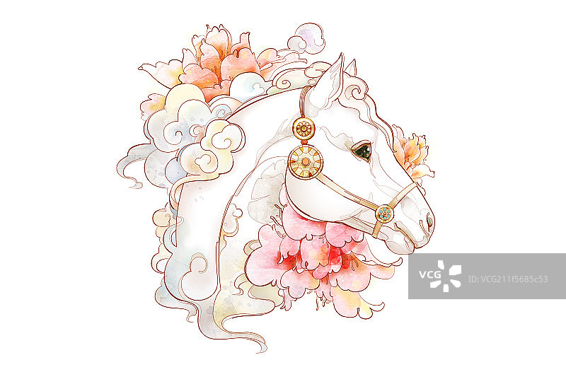 马的头部肖像图片素材