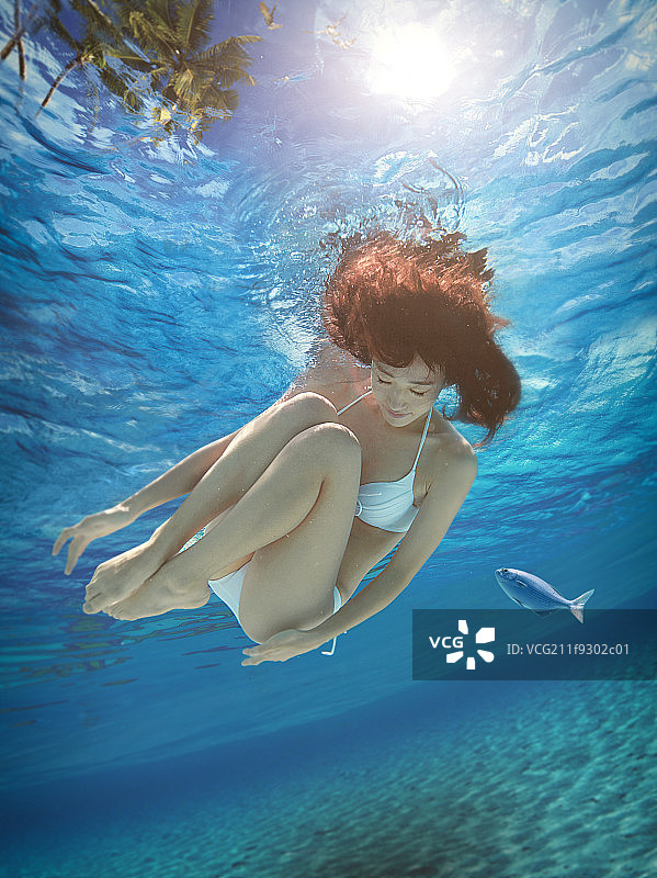 漂亮的青年女人在水下图片素材